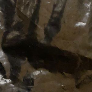 Meet your Posher, Erik